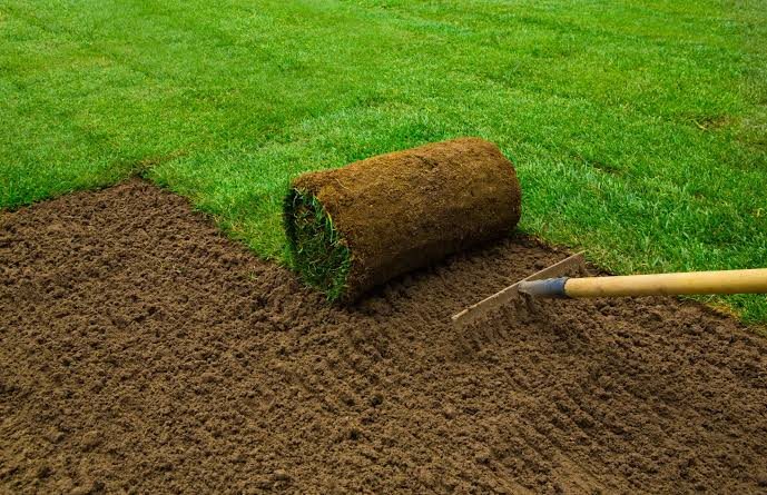 Instant lawn