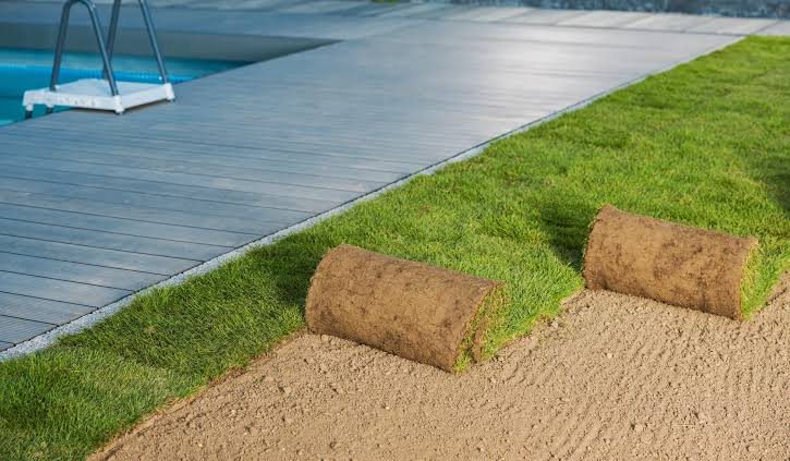 Instant lawn installation