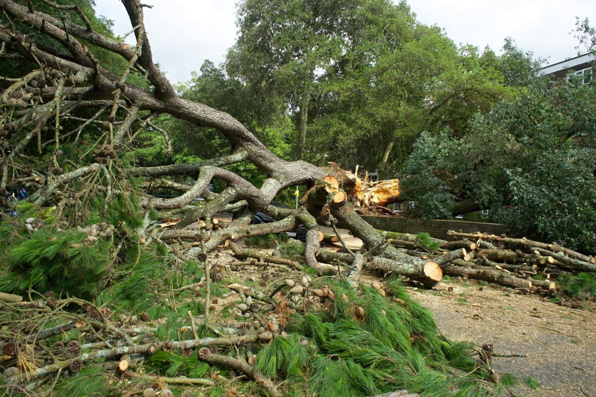 Rubble and site clearing